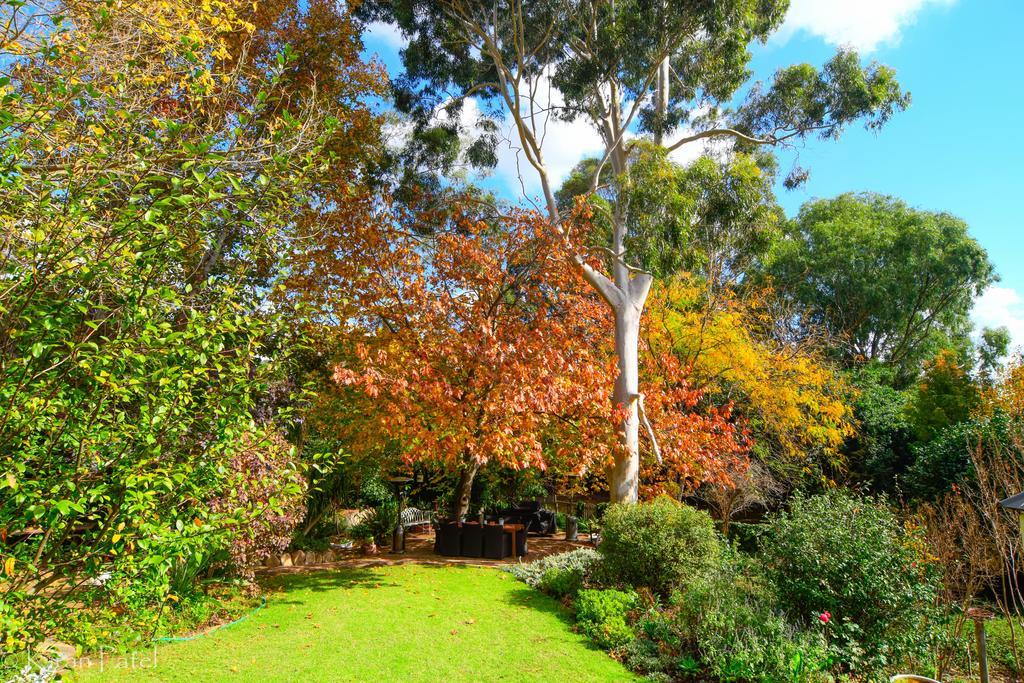 Possum Creek Lodge Gooseberry Hill Dış mekan fotoğraf