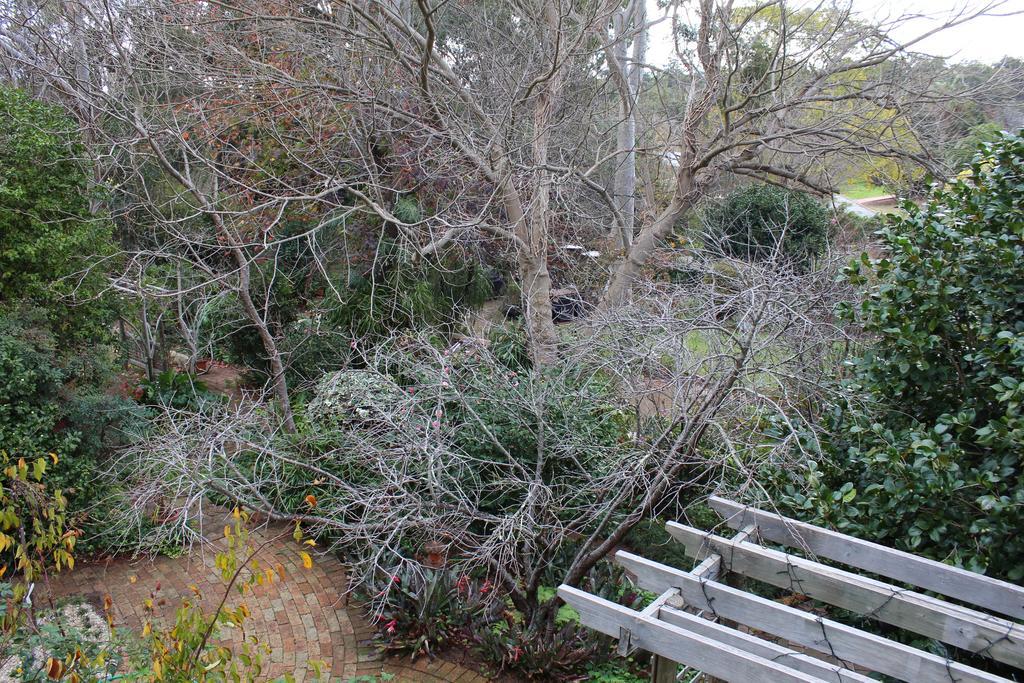 Possum Creek Lodge Gooseberry Hill Oda fotoğraf